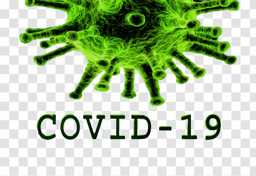 Piotrków Trybunalski Piotrków County Severe Acute Respiratory Syndrome Coronavirus 2 Logo Transparent PNG