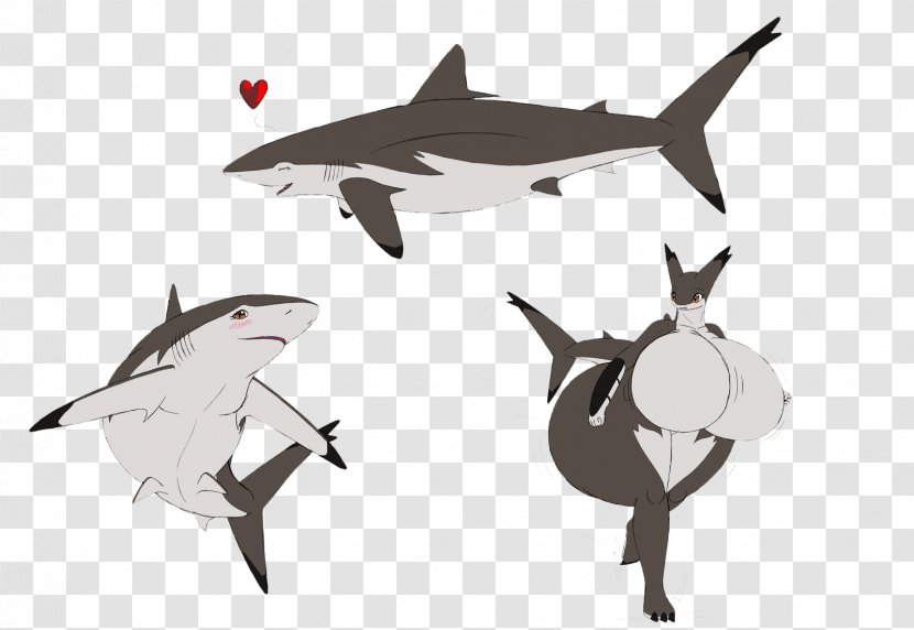 Great White Shark Chondrichthyes Thresher - Blacktip - HD Transparent PNG