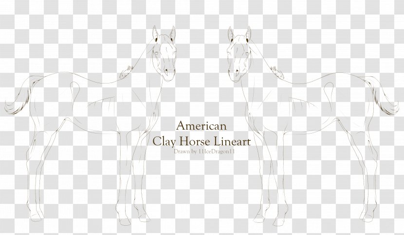 Mustang Foal Colt Halter Sketch - Horse - Ach Pattern Transparent PNG