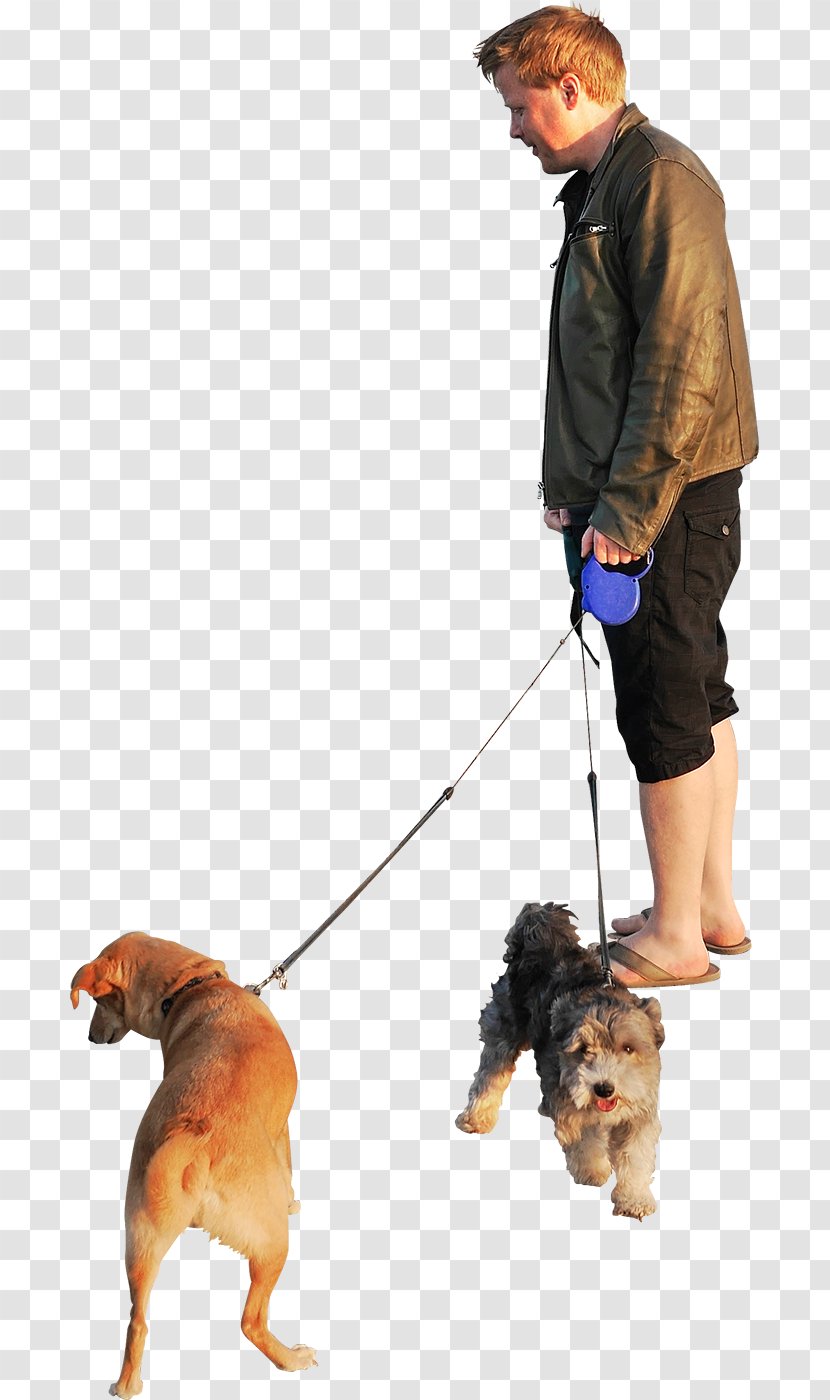Dog Walking Clip Art - Cat People And - Dogs Transparent PNG