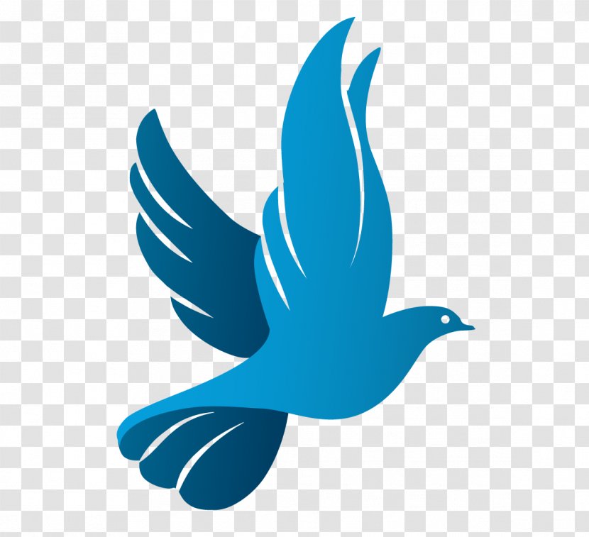 Columbidae Doves As Symbols Logo - Unilever - Pigeon Transparent PNG