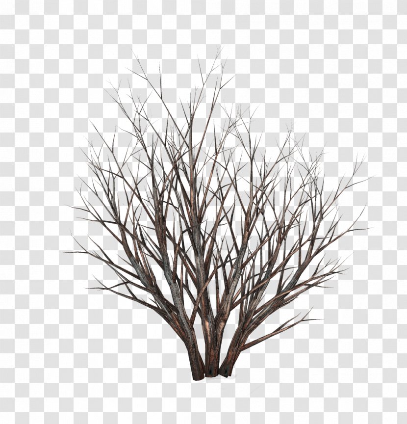 Twig Shrub Tree Clip Art - Winter Transparent PNG