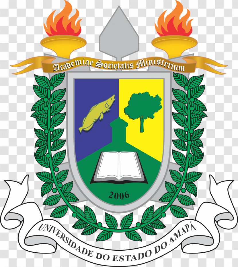 Federal University Of Amapá State Pará Bahia Rector - Tree - Brasileira Transparent PNG