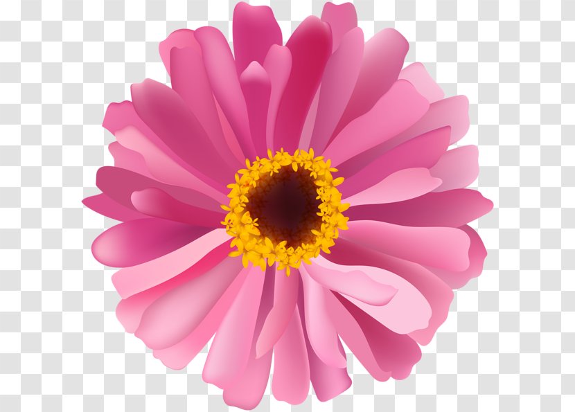 Chrysanthemum Daisy Family Flower Argyranthemum Frutescens - Magenta - HEART FLOWER Transparent PNG