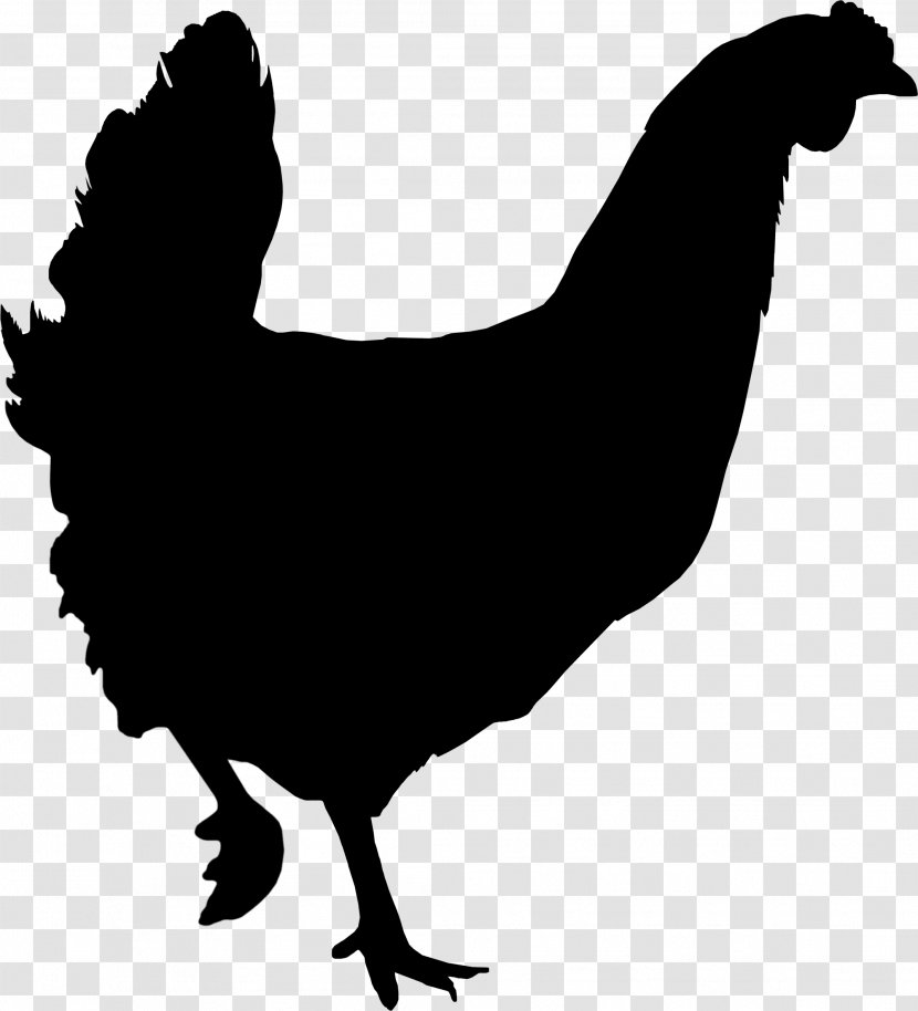 Rooster Chicken Clip Art Fauna Silhouette - Galliformes - Bird Transparent PNG