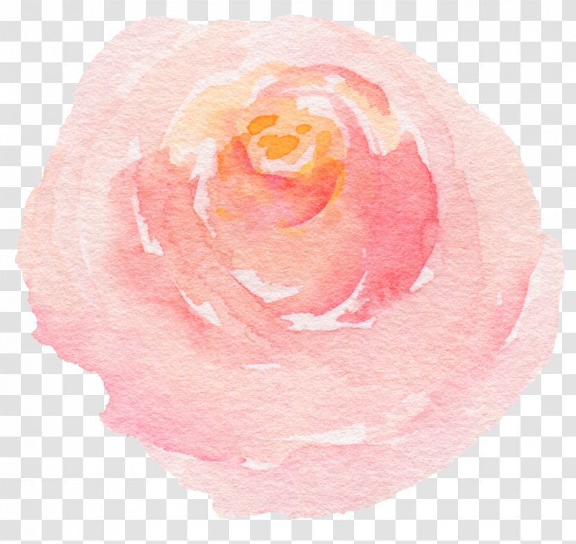 Beach Rose Watercolor Painting - Peach - Hand-painted Roses Transparent PNG