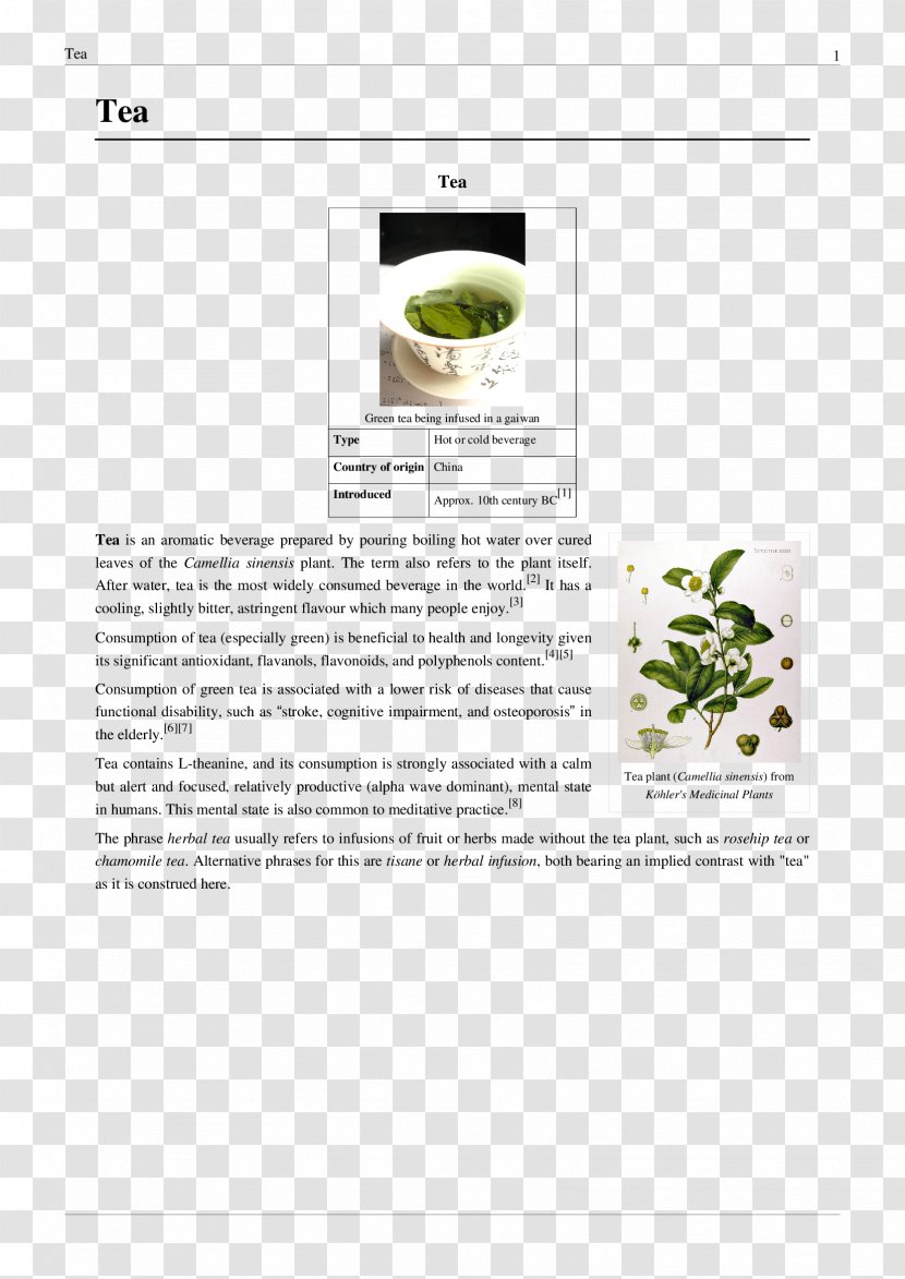 Tea Camellia Sinensis Japanese Recipe - Leaf Transparent PNG