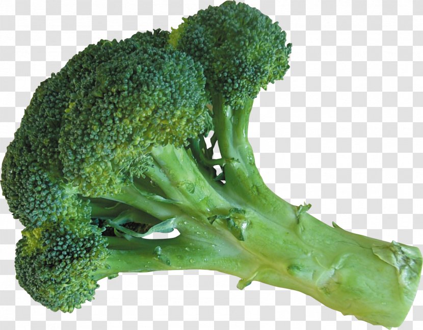 Broccoli Cauliflower Vegetable Food Ingredient - Organism Transparent PNG