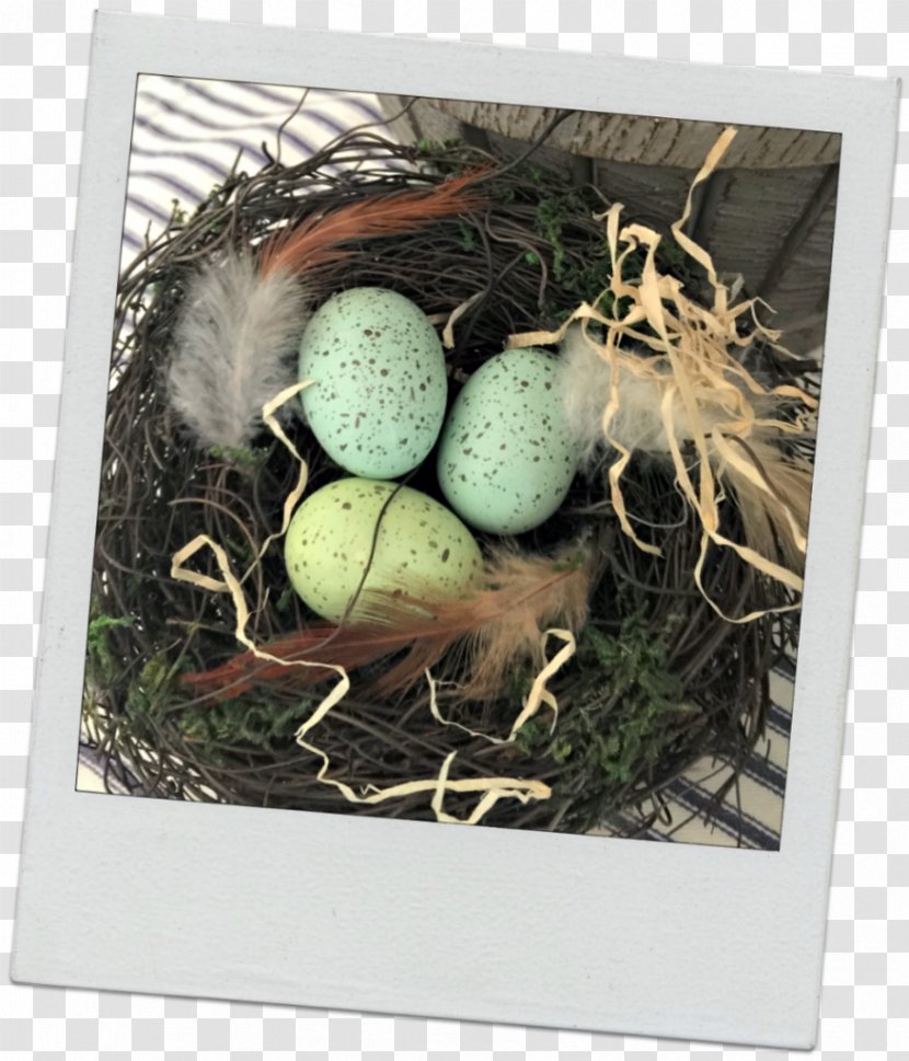Bird Nest NEST+m Egg - He Is Risen Transparent PNG