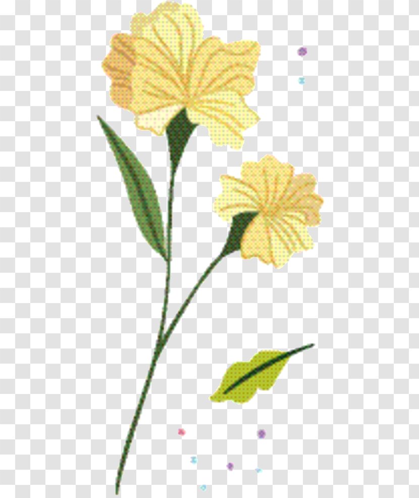 Yellow Flower - Botany - Pedicel Transparent PNG