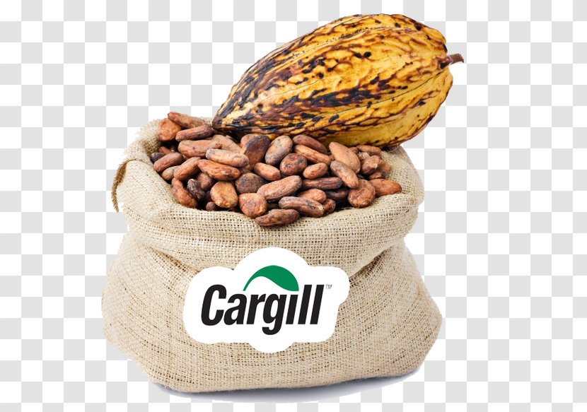 Cocoa Bean Chocolate Bar Criollo Solids Transparent PNG