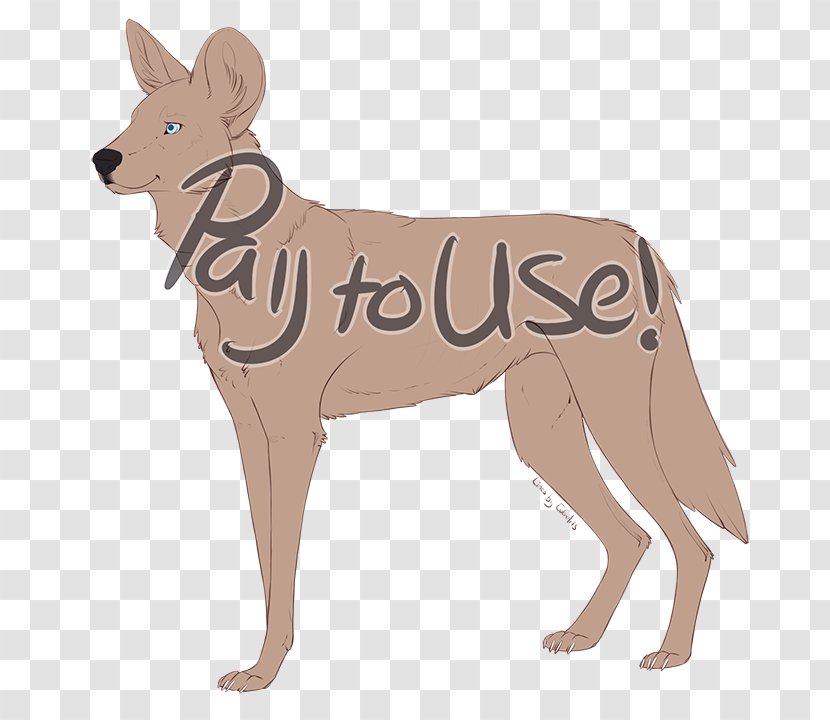 Dog Breed African Wild Police Jackal - Frame - The Painted Transparent PNG