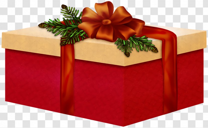 Christmas Gift New Year - Fir Plant Transparent PNG
