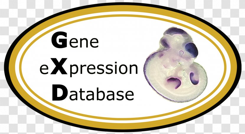 Gene Expression Mouse Genome Informatics Genetics Reporter - Smile - Alimentary Transparent PNG