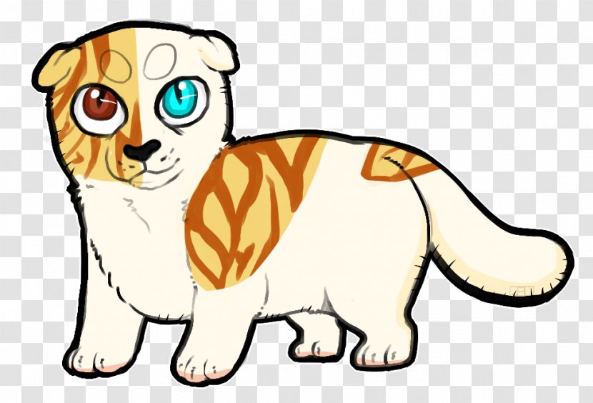 Whiskers Puppy Tiger Cat Dog - Snout - Scotish Fold Transparent PNG