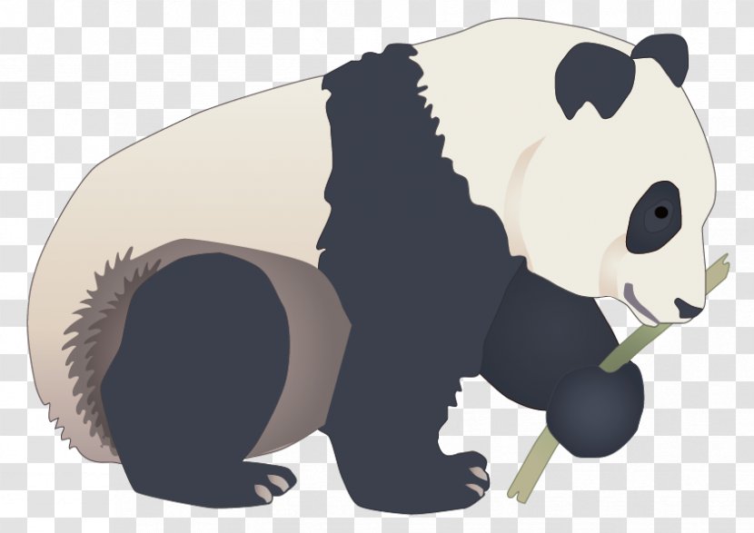 Giant Panda Red - Carnivoran - Vector Transparent PNG