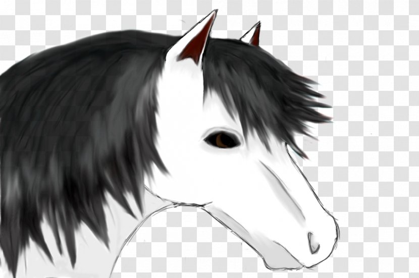 Mustang Stallion Pack Animal Black White - Cartoon - Horse Mane Transparent PNG