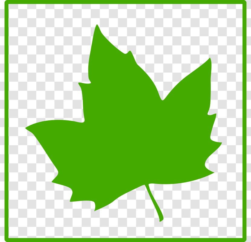 Leaf Favicon Icon - Scalable Vector Graphics - Green Transparent PNG