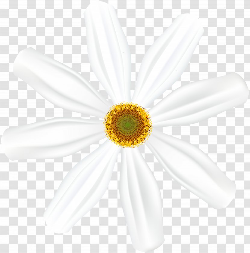 Common Daisy Oxeye Transvaal Cut Flowers Petal - Sheriff Woody Transparent PNG