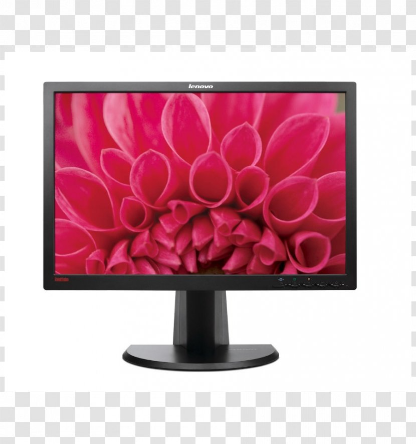 ThinkVision Displays Lenovo LT-52p Computer Monitors IPS Panel - 1610 Transparent PNG