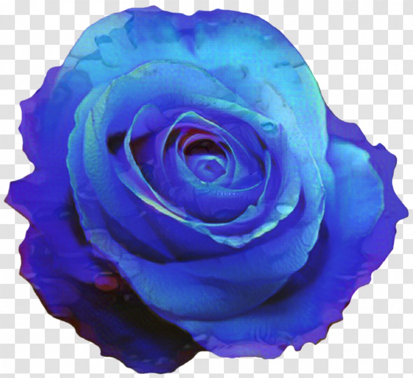 Blue Rose Clip Art Flower - Cobalt Transparent PNG