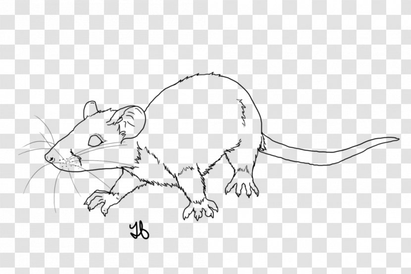 Rat Mouse Line Art Whiskers Sketch - Mammal - A Juvenile Transparent PNG