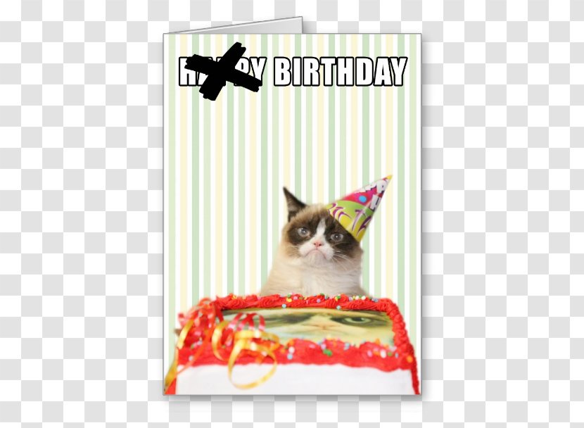 Grumpy Cat Wedding Invitation Greeting & Note Cards Birthday - Card Transparent PNG