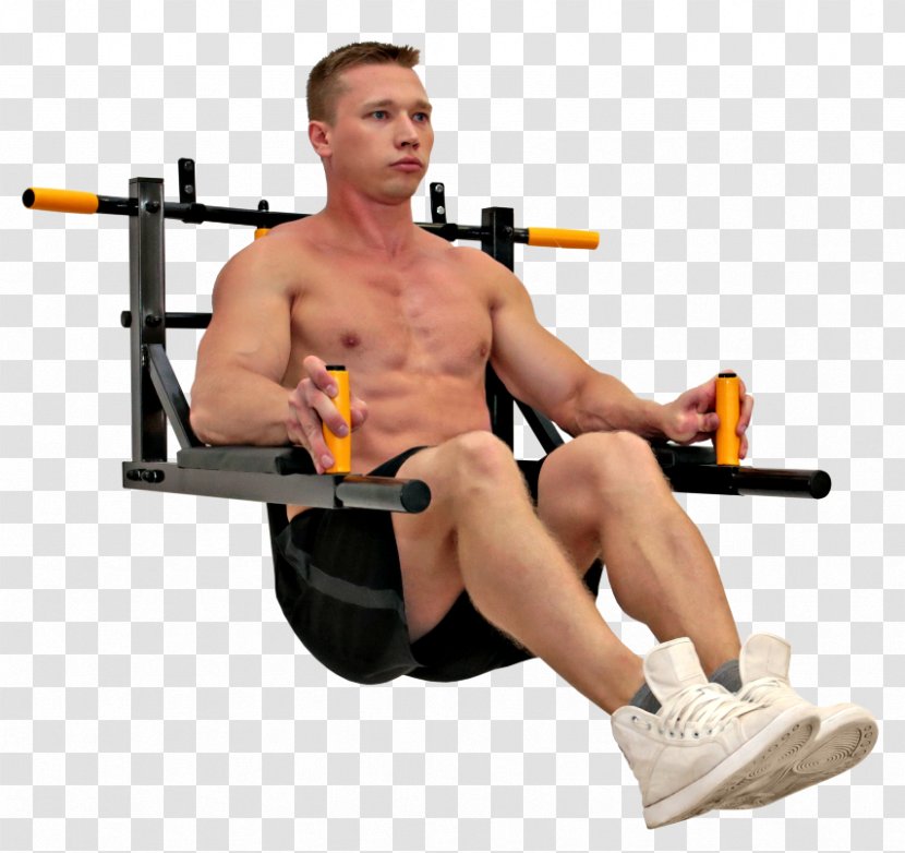 Weight Training Bench Barbell Calf Olympic Weightlifting - Silhouette Transparent PNG