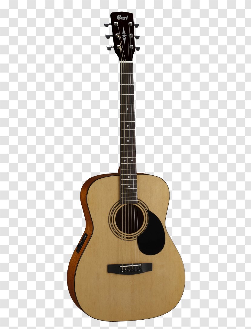 Steel-string Acoustic Guitar C. F. Martin & Company Acoustic-electric - Flower Transparent PNG