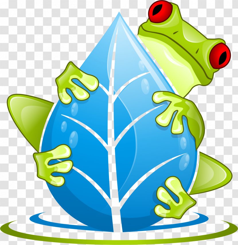Tree Frog Amphibian The Swamp School, LLC True - Ecology Transparent PNG