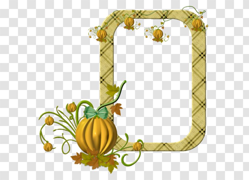 Picture Frames Preview - Flower - Blog Transparent PNG