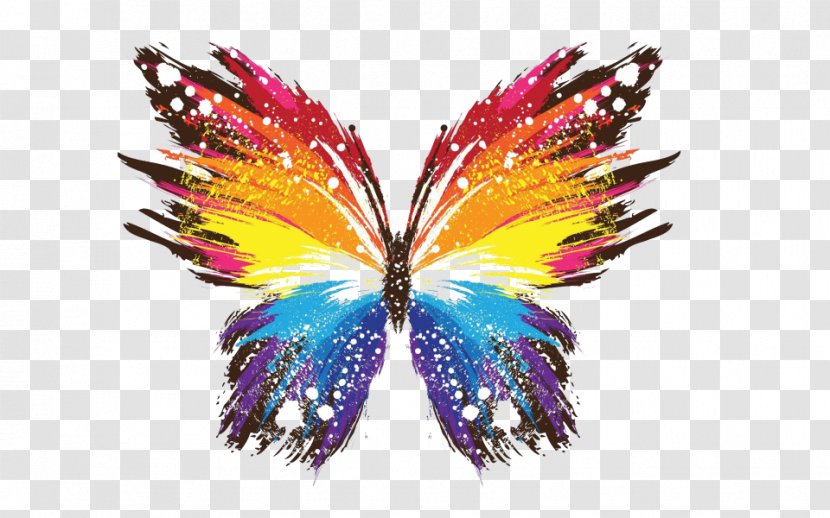 Butterfly Desktop Wallpaper Image Illustration Painting - Stock Photography Transparent PNG