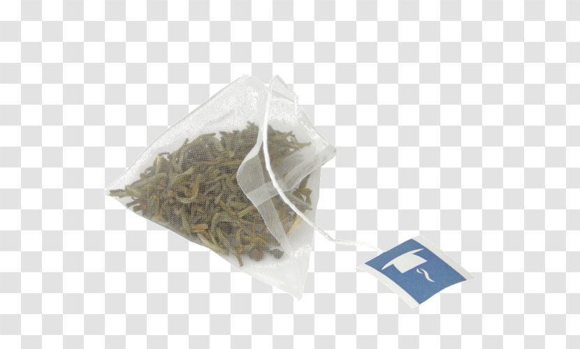 Earl Grey Tea Plastic Plant - Camellia Sinensis Leaf Transparent PNG
