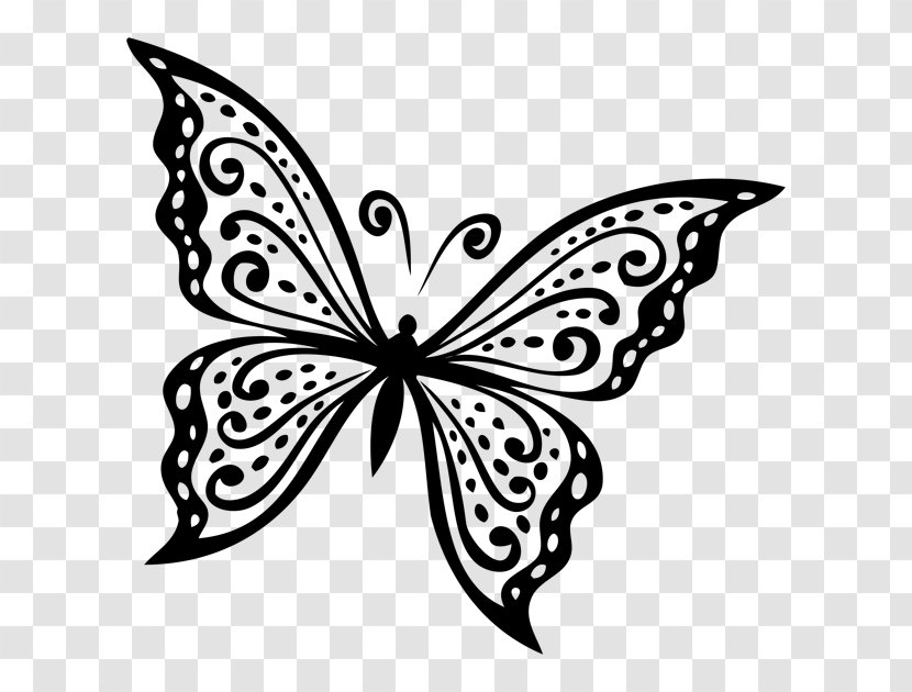 Butterfly Clip Art - Cartoon Transparent PNG