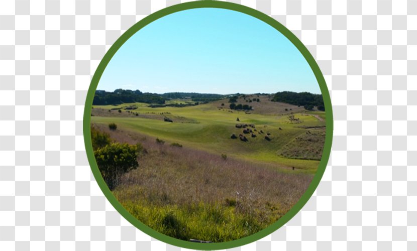 Shire Of Mornington Peninsula International Golf Specialists | Tours & Packages Grassland - Pasture - Victoria Transparent PNG