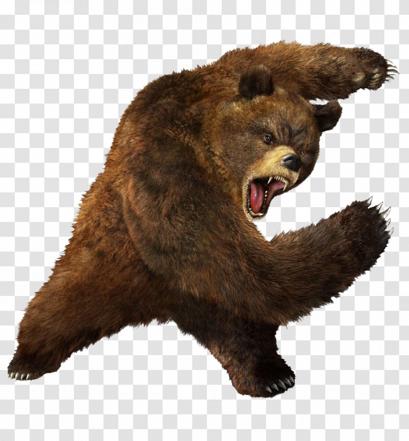 Tekken 3 Grizzly Bear Heihachi Mishima Brown - Terrestrial Animal - Greezly Image Transparent PNG