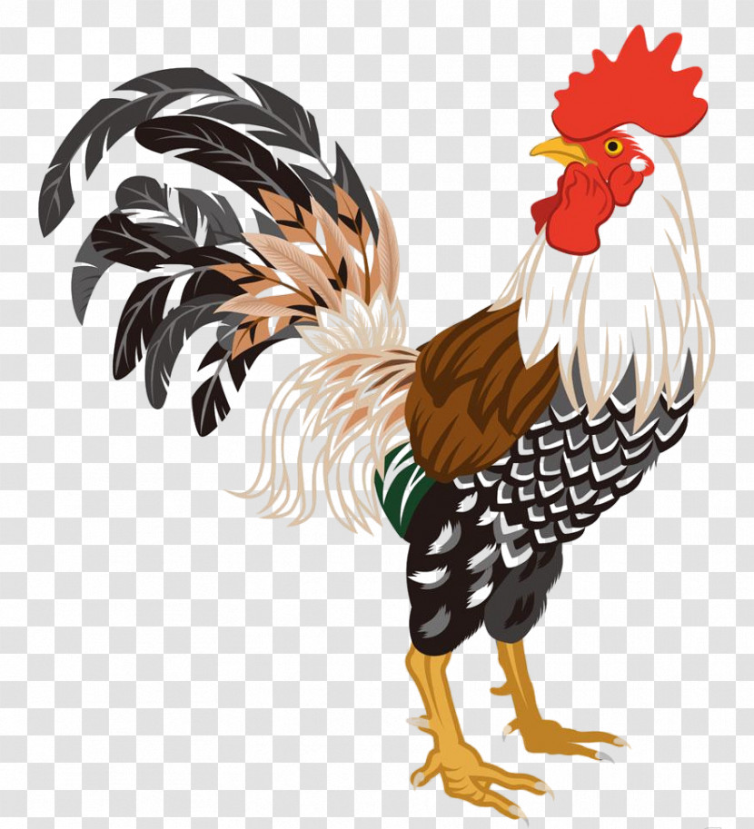 Chicken Bird Rooster Comb Beak Transparent PNG