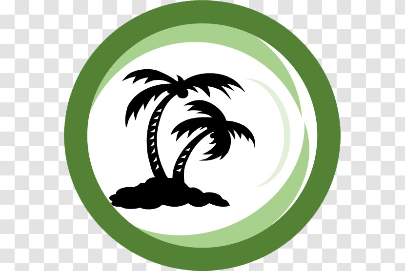 Jensen Beach Stuart Arecaceae Tree - Palm Transparent PNG