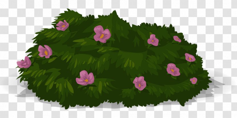 Shrub Flower Garden Pruning Plants - Pink - Summer Pixabay Transparent PNG