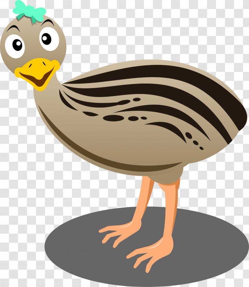 Cartoon Bird Emu Common Ostrich Clip Art - Fowl - Carton Transparent PNG