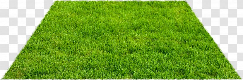 Artificial Turf Lawn Fodder Yard - Green - JARDIN Transparent PNG