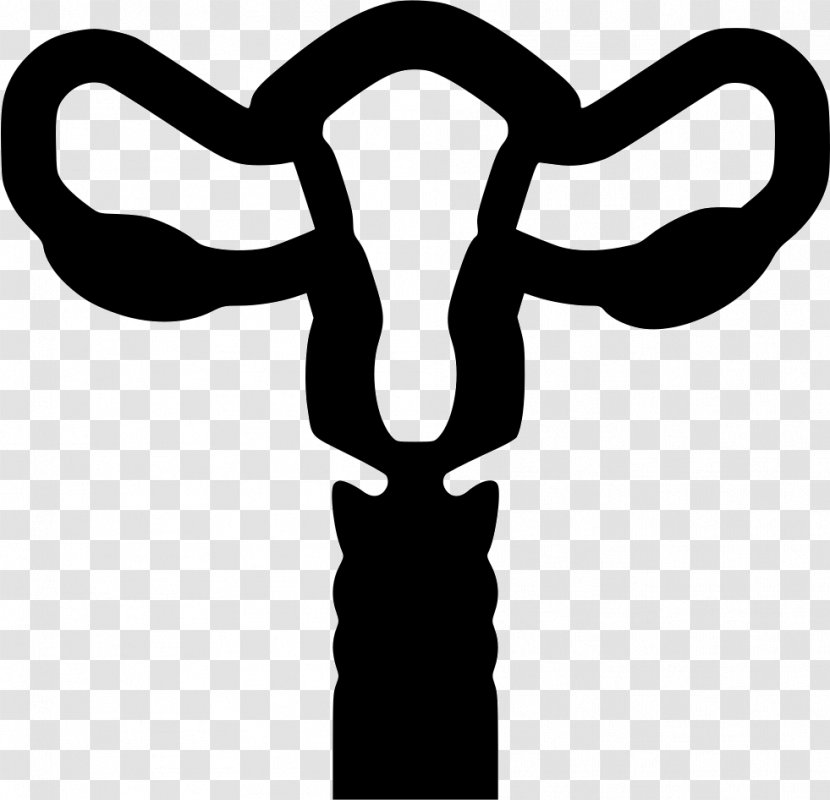Uterus Gynaecology Female Reproductive System Ovary - Tree - Icon Transparent PNG