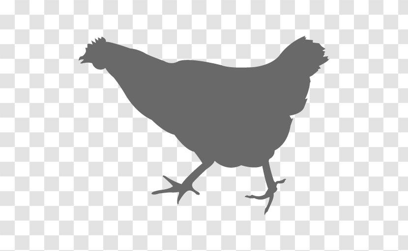 Chicken Vector Graphics Silhouette The Broad Transparent PNG