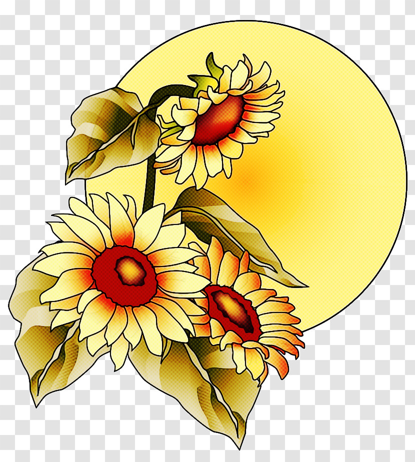 Floral Design Transparent PNG