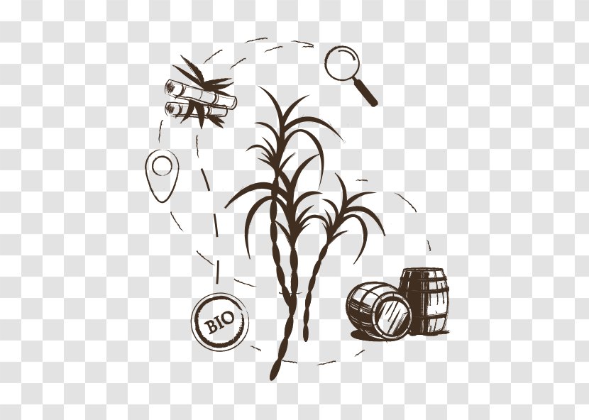 /m/02csf Drawing Insect Tibia Clip Art - History - Rhum Transparent PNG