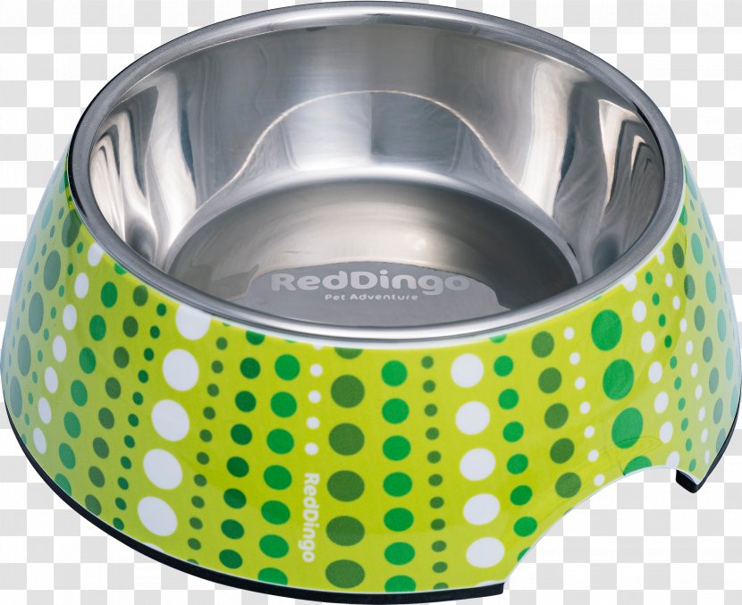 Dingo Dog Cat Stainless Steel Bowl - Plastic - Lime Green Transparent PNG