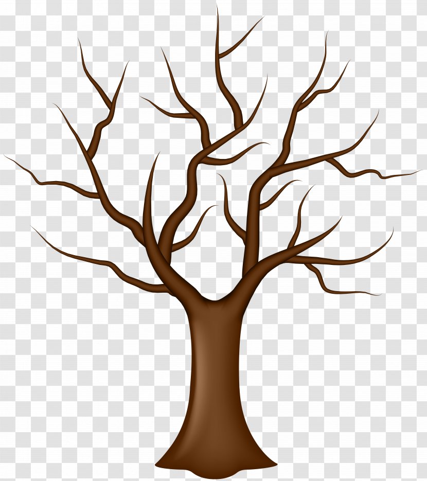 Tree Leaf Clip Art - Illustration - Without Leaves Transparent PNG