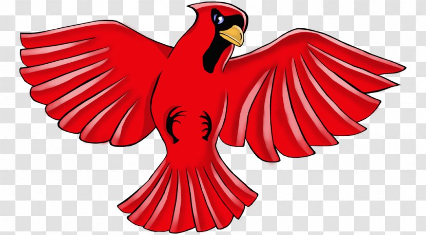 Illustration Clip Art Beak Character Macaw - Red - Defender Transparent PNG