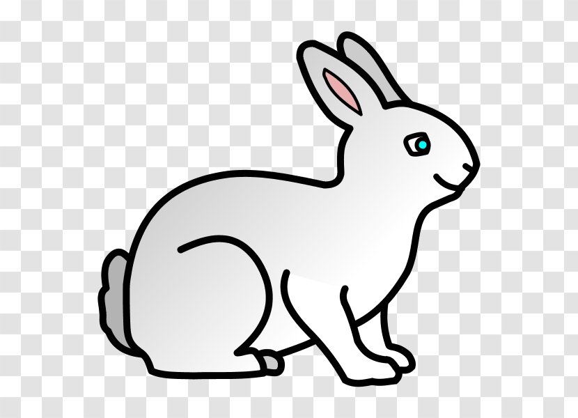 Domestic Rabbit Coloring Book Easter Bunny Drawing - Bugs Transparent PNG