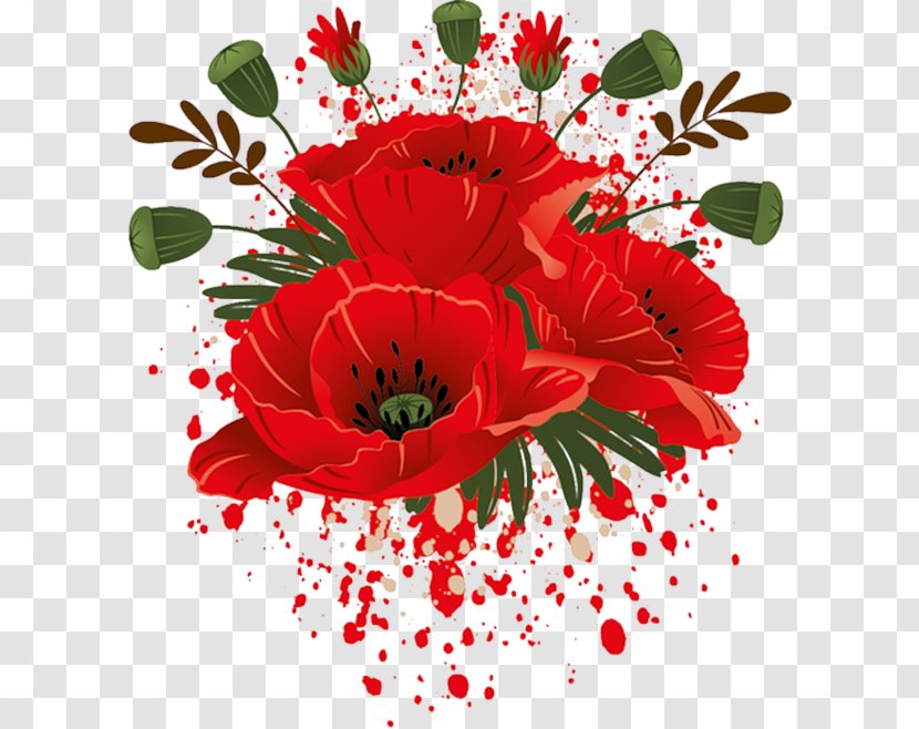 Poppy Garden Roses Flower Drawing Red - Floristry Transparent PNG